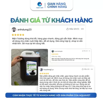 Mật Rỉ Đường Nguyên Chất